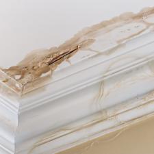 Water damage repair and removal