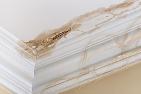 Water damage repair and removal